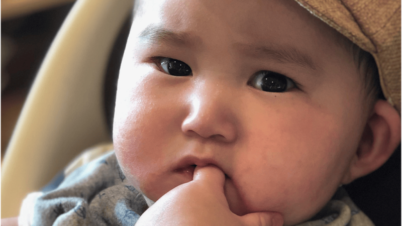 【赤ちゃんも安心】大阪のエアコンクリーニング会社の選び方 